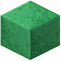 Polished Jade Block