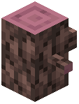 Mahogany Tree