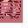 Raw Raccoon Dog Meat