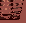 Raw Raccoon Meat