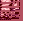 Raw Sugar Glider Meat