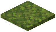 Moss Layer
