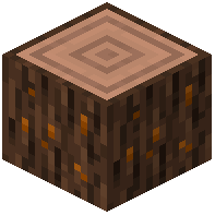 Sappy Maple Log