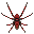Camel Spider