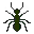 Carpenter Ant