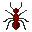 Fire Ant