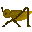 Locust