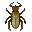 Wood Termite