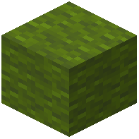 Energetic Green Wool