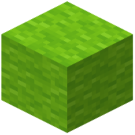 Energetic Lime Wool