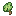 Lucky Dog's Clover