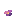 Nightfan Bush
