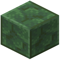 Polished Toxite
