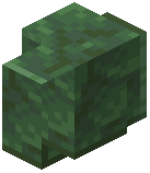 Polished Toxite Wall
