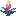 Starlight Torchflower