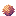 Sunset Thornbloom