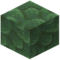 Toxite