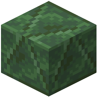 Toxite Bricks