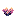 Whisperbloom