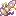 Bouquetia