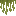 Khagris Moss