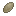 Sea Acorn