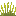 Sungrass