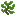 Magical Kelp