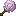 Pink Shell Wand