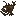 Raw Anglerfish