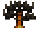 Brimwood Sapling