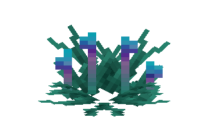 Creeping Moss