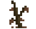 Dead Sapling