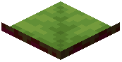 Giant Lily Pad