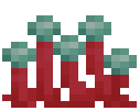 Globulagus
