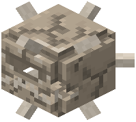 Guardian Fossil Skull