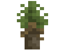 Joshua Sapling