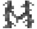 Kapok Vines