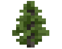 Larch Sapling