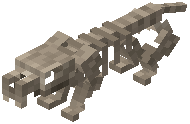 Ocelot Fossil