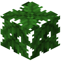 Palm Leaves
