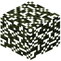 Pine Leaves