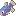 Raw Pupfish
