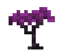 Pythadendron Sapling