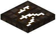 Rotten Trapdoor