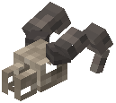 Sheep Fossil Skull