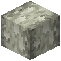 Stripped Silver Birch Wood
