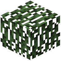 Willow Leaves
