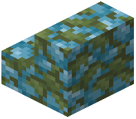 Mossy Blue Cobblestone Stairs