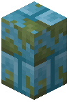 Mossy Blue Stone Brick Wall